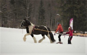 skijoering-sportihome-glisse alternative