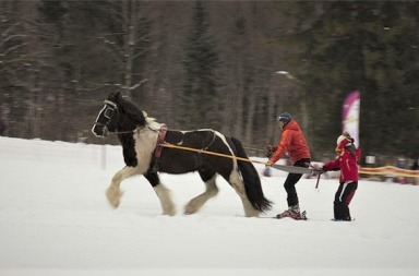 skijoering-sportihome