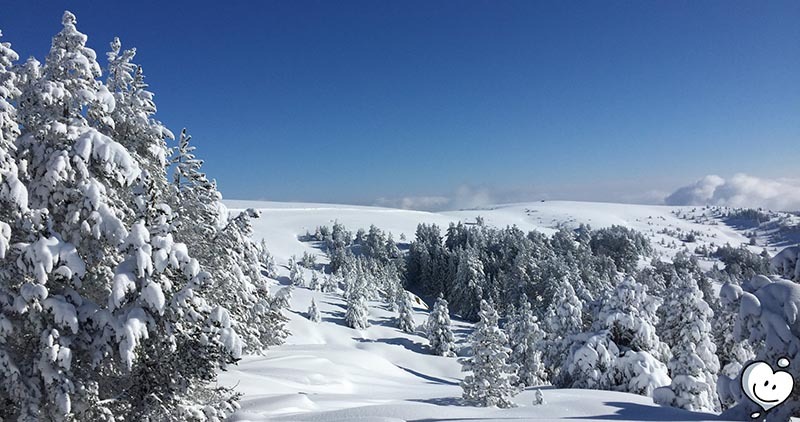 Family ski resort in france - Chioula