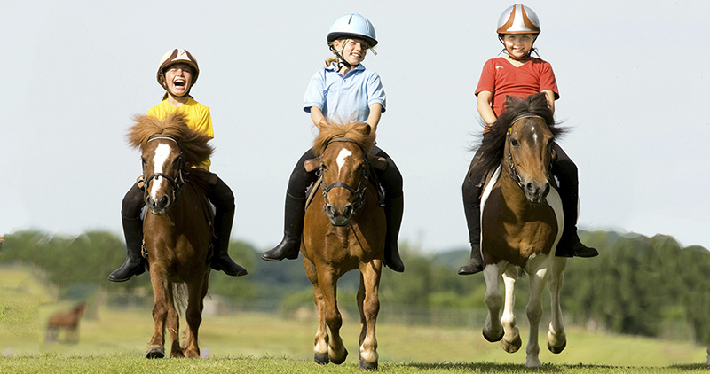 Evoluer en equitation cheval