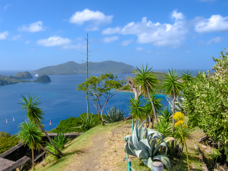 Randonnée Guadeloupe : Les 5 Plus Belles Randos De L'île